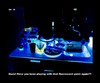 Cartoon: MH - Fluorescent Paint (small) by MoArt Rotterdam tagged fluorescentpaint,luminouspaint,blacklightpaint,play,haveyoubeenplaying,ozzie,dishes,dirtydishes