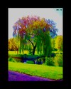 Cartoon: MH - The Big Haired Tree (small) by MoArt Rotterdam tagged fantasy tree bighair bighairedtree coolcolors colorful