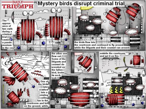 Cartoon: Mystery birds disrupt trial (medium) by bob schroeder tagged comic,webcomic,mystery,criminal,owl,bird,court,pandemonium