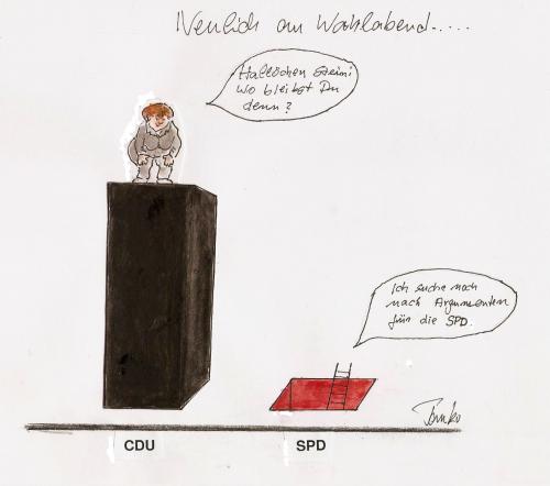 Cartoon: Merkel (medium) by Skowronek tagged steinmaier