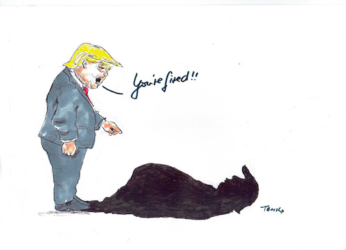 Cartoon: Trumpschatten (medium) by Skowronek tagged trump,schatten,entlassen,feuern,republikaner,trumpteam,russland,putin