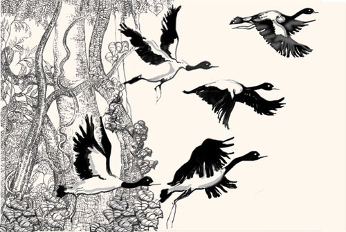 Cartoon: bird (medium) by damayanthi tagged bird