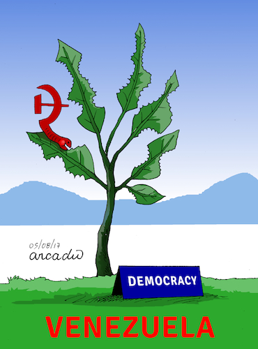 Cartoon: Democracy under attack. (medium) by Cartoonarcadio tagged democracy,venezuela,maduro,socialism