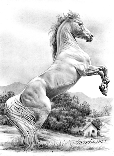 Cartoon: White horse. (medium) by Cartoonarcadio tagged horse,animals,nature,farm,countryside
