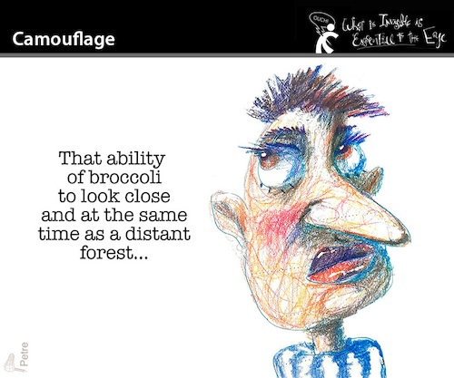 Cartoon: CAMOUFLAGE (medium) by PETRE tagged camouflage,brokkoli,brocoli