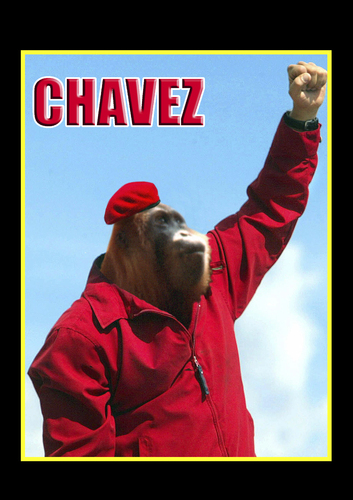 Cartoon: Hugo Chavez (medium) by samaniego tagged hugochavez,politicos,famosos,venezuela