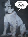 Cartoon: Patch (small) by jjjerk tagged animals,animal,dog,patch,black,white,dublin,ireland