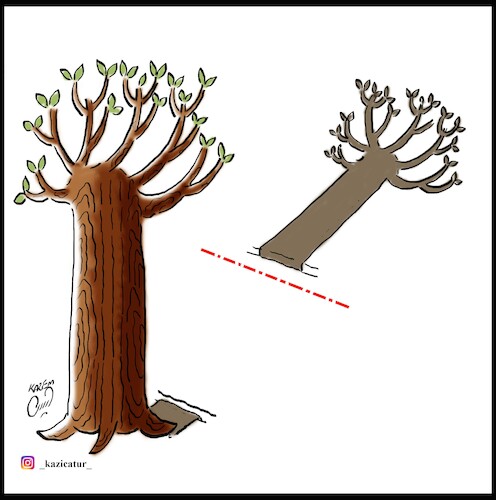 Cartoon: tree shadow (medium) by Hossein Kazem tagged tree,shadow
