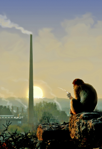 Cartoon: Primat vs. Zivilisation (medium) by kunstkai tagged kunstkai,kai,kretzschmar,zivilisation,primat,affe,affenmensch,rauchen,industrie,umweltverschmutzung,ökosystem,natur