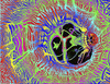 Cartoon: LAST CONTACT Psych O Delic O (small) by DaD O Matic tagged lastcontact,sciencefiction,color,photoshop