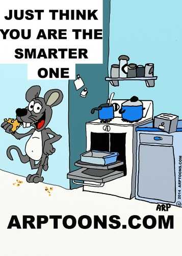 Cartoon: KITCHEN SMARTS (medium) by tonyp tagged arp,kitchen,rat,smarts,arptoons