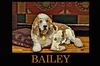 Cartoon: Bailey my Dog (small) by tonyp tagged arp bailey dog animal arptoons cocker
