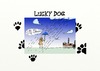 Cartoon: Lucky Dog (small) by tonyp tagged arp,lucky,dog
