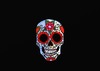 Cartoon: Spanish Skull (small) by tonyp tagged arp skull red flowers