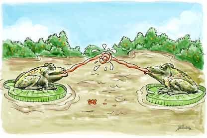 Cartoon: Frog Love (medium) by William Medeiros tagged love,valentine,frog
