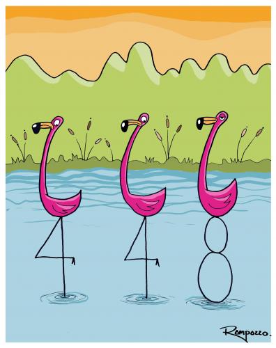 Flamingos