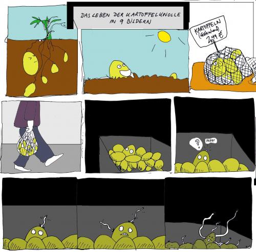 Cartoon: das leben der kartoffelknolle (medium) by Florian France tagged kartoffel