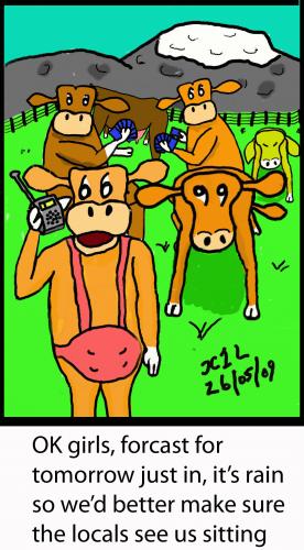 Cartoon: Cow Cartoon (medium) by chriswannell tagged cows,weather,forecast,gag,cartoon