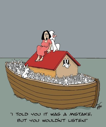 Cartoon: Poor Noah (medium) by aarbee tagged rabbits,ark
