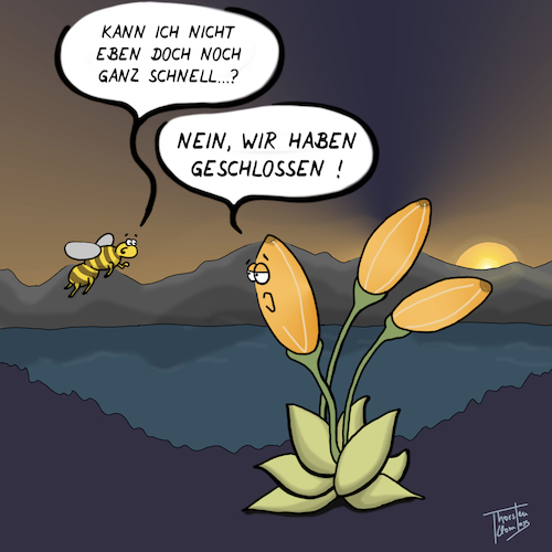 Cartoon: Ladenschluss (medium) by Thorsten Klomfass tagged ladenschluss,feierabend,natur,biene,blume,tulpe,ladenschluss,feierabend,natur,biene,blume,tulpe