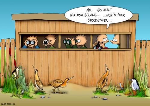Cartoon: Stockenten (medium) by ralfschnellegmxde tagged birding,vogelbeobachtung,vögel