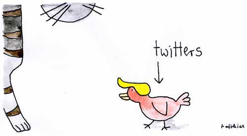 Cartoon: Twitters (medium) by Matthias Schlechta tagged trump,twitter,usa,trump,twitter,usa