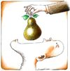 Cartoon: No_need_to_ask_eat_a_pear (small) by firuzkutal tagged nose anarchy immigration park tour green