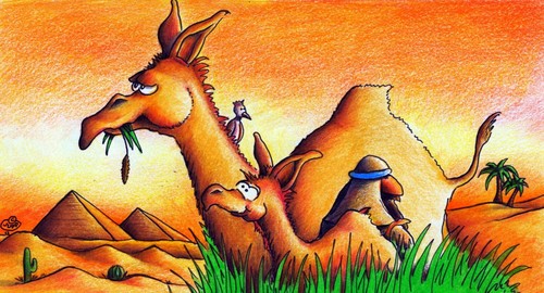 Cartoon: Kamele (medium) by Jupp tagged illustration,cartoon,bild,bilder,pyramid,pyramide,bomm,jupp,desert,wüste,egypt,ägypten,camels,camel,kamele,kamel,gras,höcker,dromedar,sand,afrika,pause