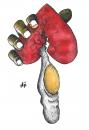 Cartoon: Heart (small) by Nizar tagged heart,egg,love