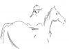 Cartoon: Equestrian Quick Sketch (small) by remyfrancis tagged horse rider equestrian arabian stallion drawing quick sketch