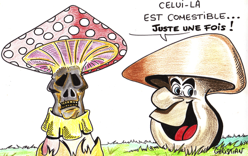 Cartoon: champignons (medium) by CHRISTIAN tagged champignons