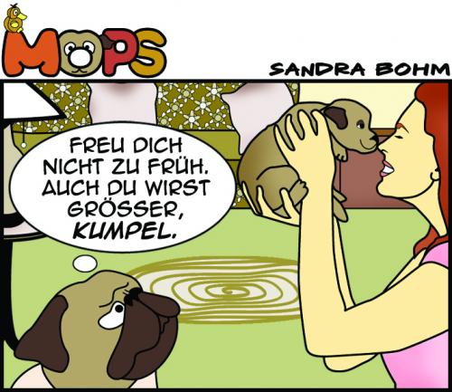 Cartoon: Mops (medium) by Sandra tagged mops,pets,dog,