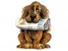 Cartoon: Zeitung - Newspaper (small) by Abonaut tagged hund,lesen,hundeblick,dackelblick,hundeliebe,herrchen,frauchen,zeitung,tageszeitung,tbm,papertown,abovalley,dog
