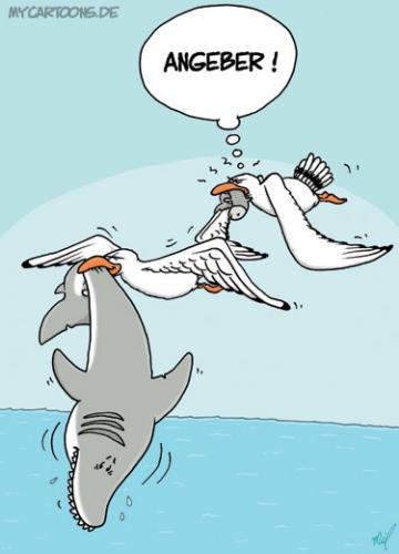 Cartoon: Möwenfang (medium) by mil tagged möwe,hai,fisch,fang,angeber,seagull,shark,showoff