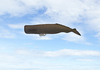 Cartoon: Wal-Zeppelin-Whale-Zeppelin (small) by Erwin Pischel tagged wal whale zeppelin hybridflugzeug pischel