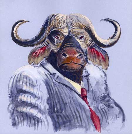 Cartoon: Büffel (medium) by neophron tagged satire,caricature,animals,tiere