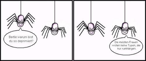 Cartoon: Bertie und das andere Geschlecht (medium) by petronas tagged spinne,bertie,depression,frauen