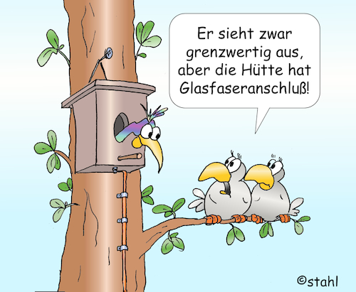 Cartoon: Glasfaser (medium) by wista tagged netz,schnell,internet,glasfaser,glasfaseranschluss,haus,internetanschluss,vogel,vögel,nistkasten,freund,freunde,date,dating,mann,männer,aussehen,typ,netz,schnell,internet,glasfaser,glasfaseranschluss,haus,internetanschluss,vogel,vögel,nistkasten,freund,freunde,date,dating,mann,männer,aussehen,typ