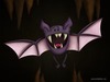 Cartoon: The Bat (small) by kellerac tagged bat,mexico,cartoon,animal,halloween,spooky,funny