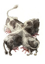 Cartoon: Kuh -Kreuzung (small) by Rainer Ehrt tagged genetik,mutation,genmanipulation,landwirtschaft,fleischindustrie,milchindustrie,ernährung,konsum