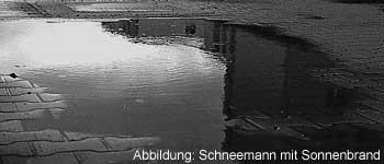 Cartoon: Schneemann mit Sonnenbrand (medium) by Newbridge tagged pfütze,schneemann,sonnenbrand,schmelzen,strasse,kopfstein