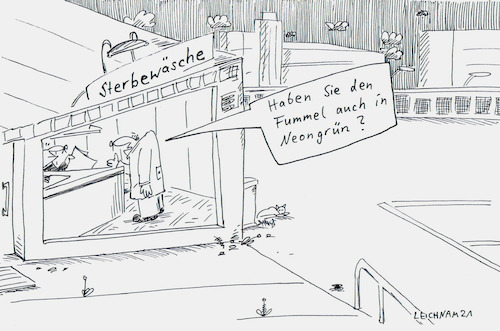 Cartoon: Vorstadt (medium) by Leichnam tagged vorstadt,sterbewäsche,geschäft,verkauf,leichnam,leichnamcartoon