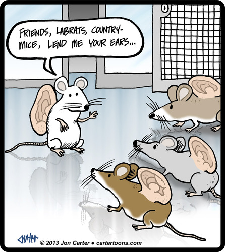 Mouse Listeners