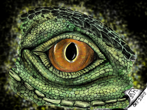 Cartoon: Eye of Iguana - 4 (medium) by swenson tagged animal,eye,reptil,dragon,drache,echse,animals