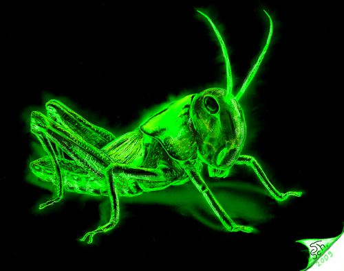 Cartoon: Heuschrecke (medium) by swenson tagged animal,tier,radioaktiv,glow,green,leuchten