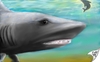 Cartoon: Sharkwater (small) by swenson tagged morphingtargetpainting,hai,shark,see,meer,wahle,wal,moon,mond,sky,haven,himmel
