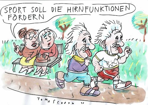 Hirnfunktion