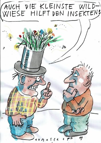 Cartoon: Insekten (medium) by Jan Tomaschoff tagged wiese,insekten,insektensterben,wiese,insekten,insektensterben