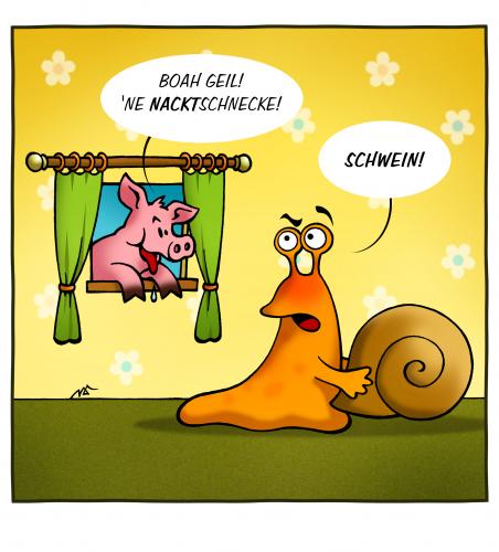 Nacktschnecke