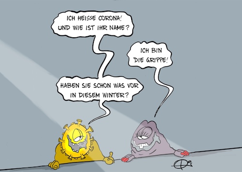 20251130-Grippewelle